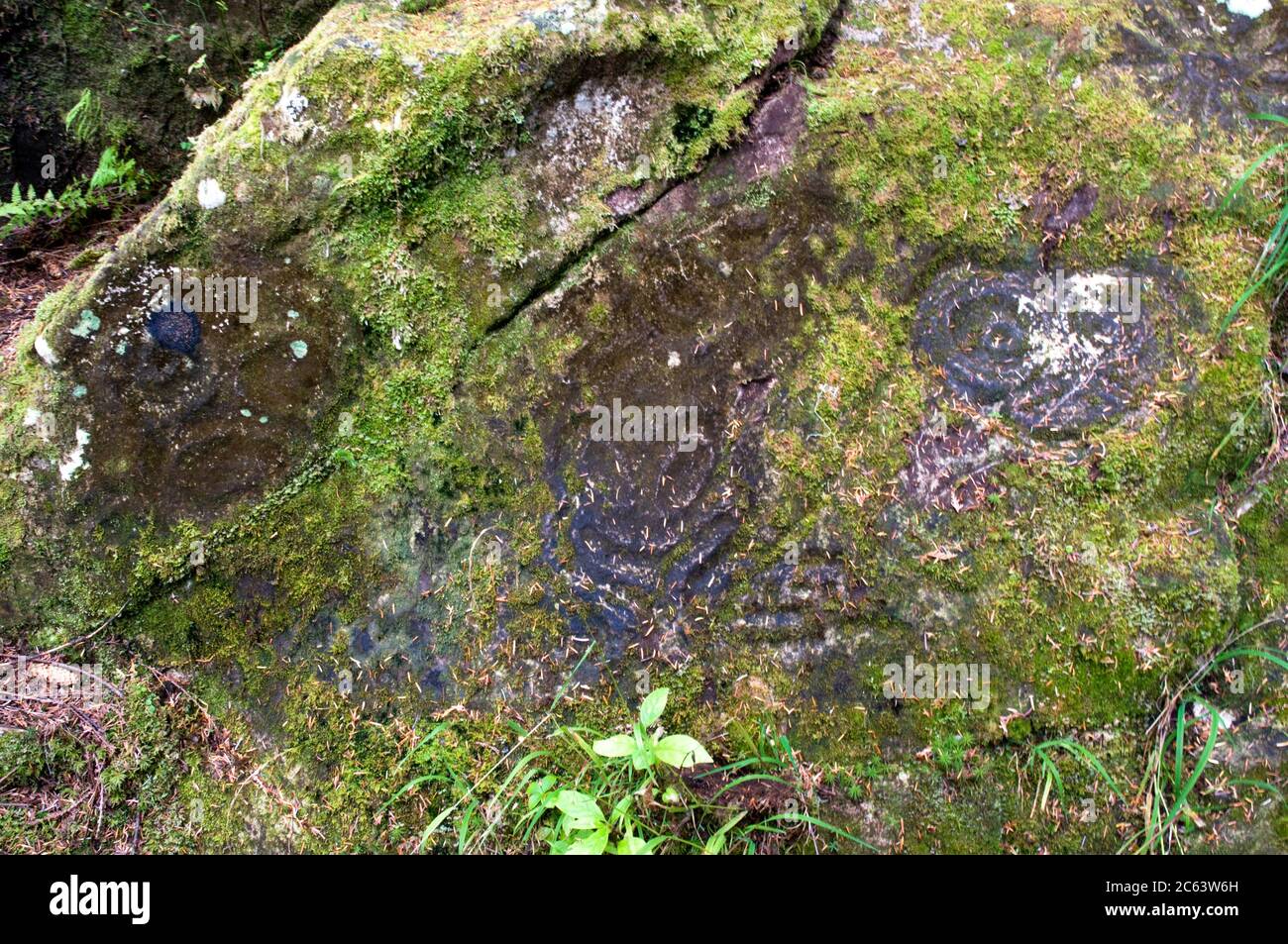 Ancient prehistoric petroglyph carved by indigenous First Nations