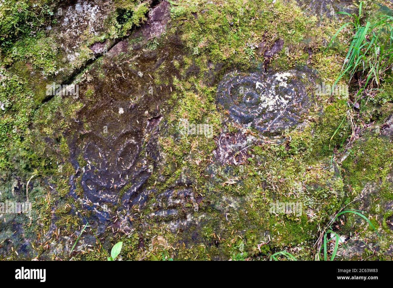 Ancient prehistoric petroglyph carved by indigenous First Nations