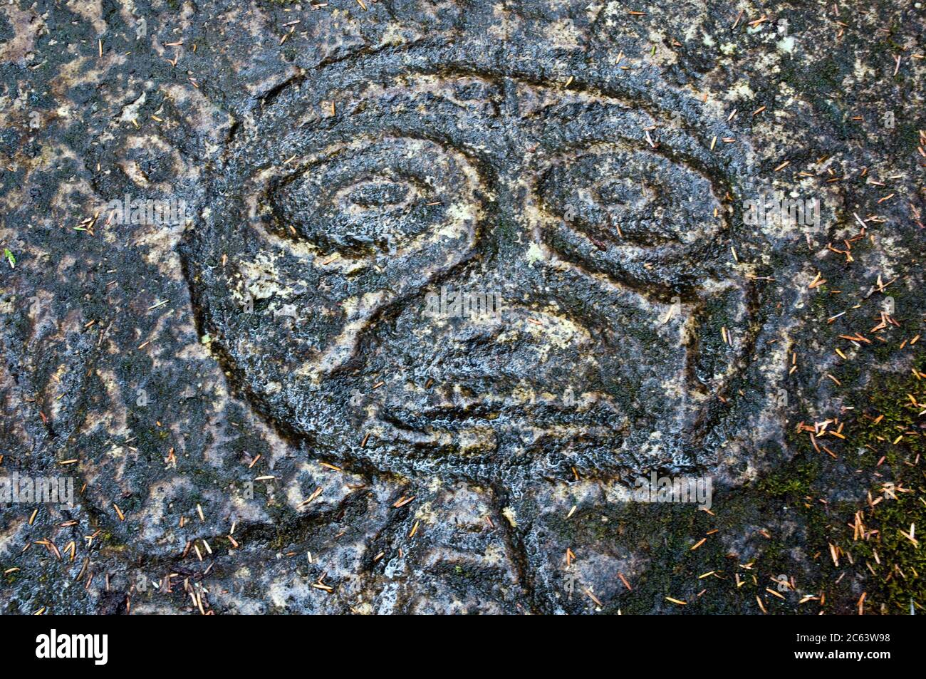 Ancient prehistoric petroglyph carved by indigenous First Nations people in the Great Bear Rainforest region, Bella Coola, British Columbia, Canada. Stock Photo