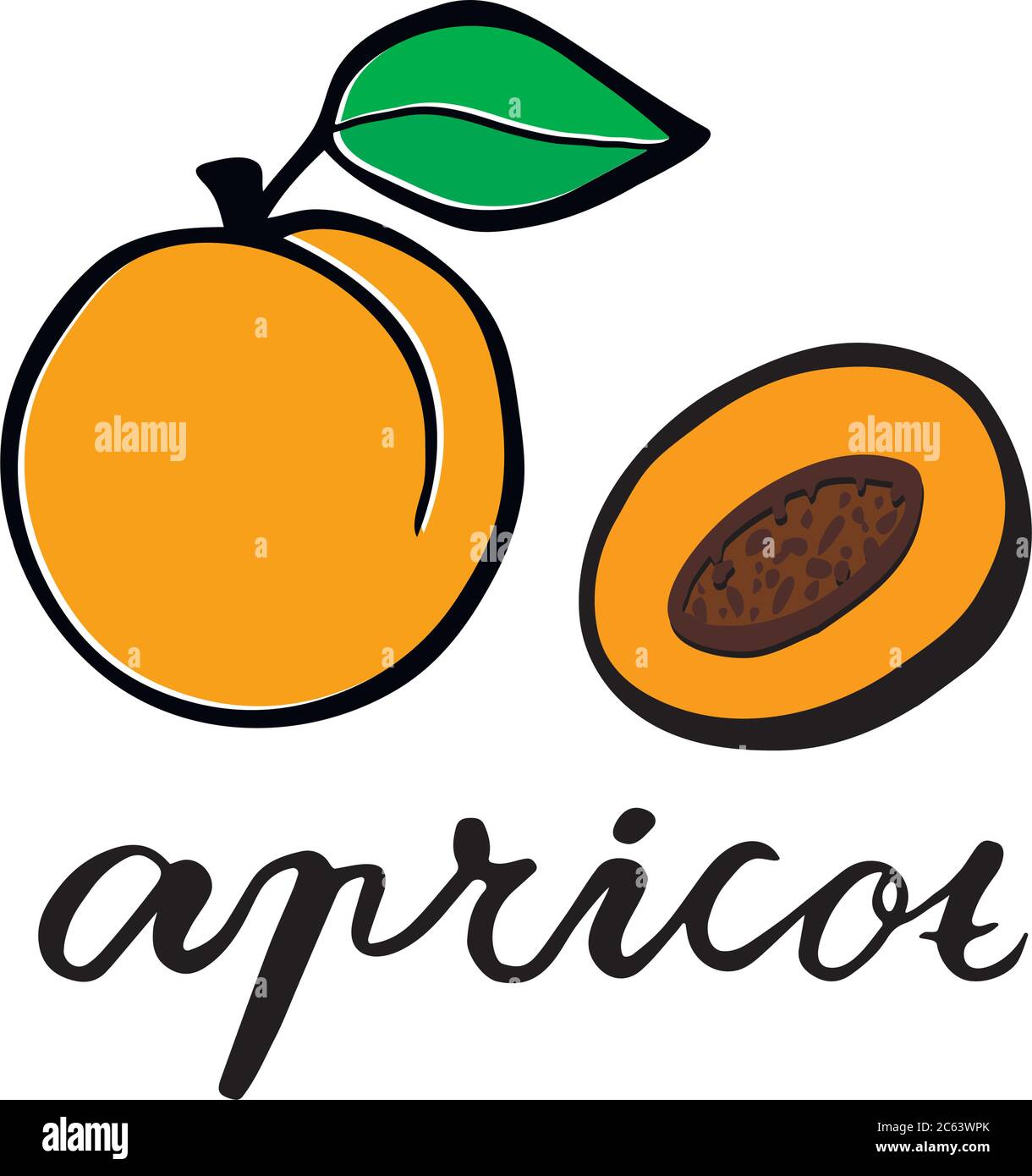 Apricots fresh hand ripe Stock Vector Images Alamy