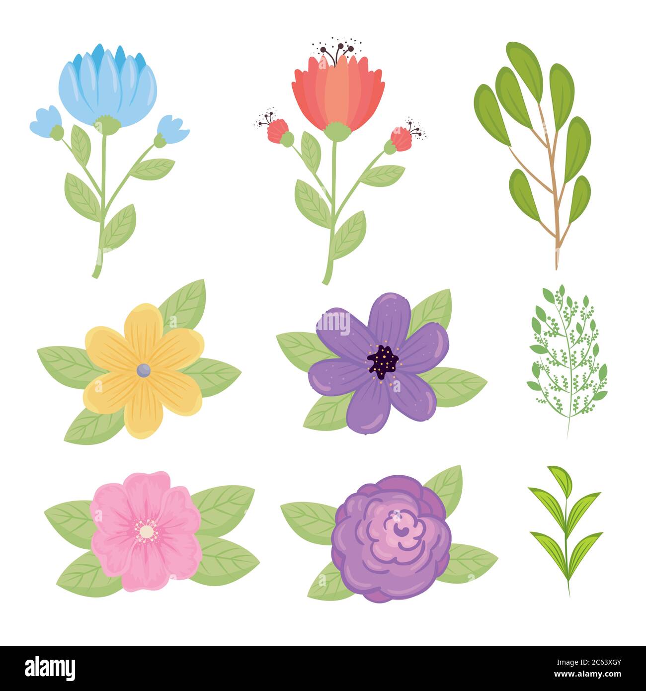 Set Of Flowers Color Blue Red Yellow Pink Purple And Branches With Leaves Stock Vector Image Art Alamy Set Of Flowers Color Blue Red Yellow Pink Purple And Branches With Leaves Stock Vector Image Art Alamy