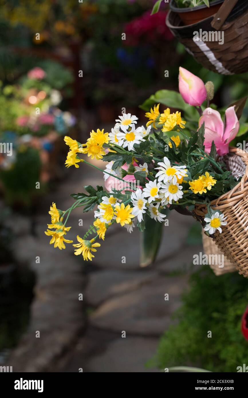 Small blooming garden Stock Photo