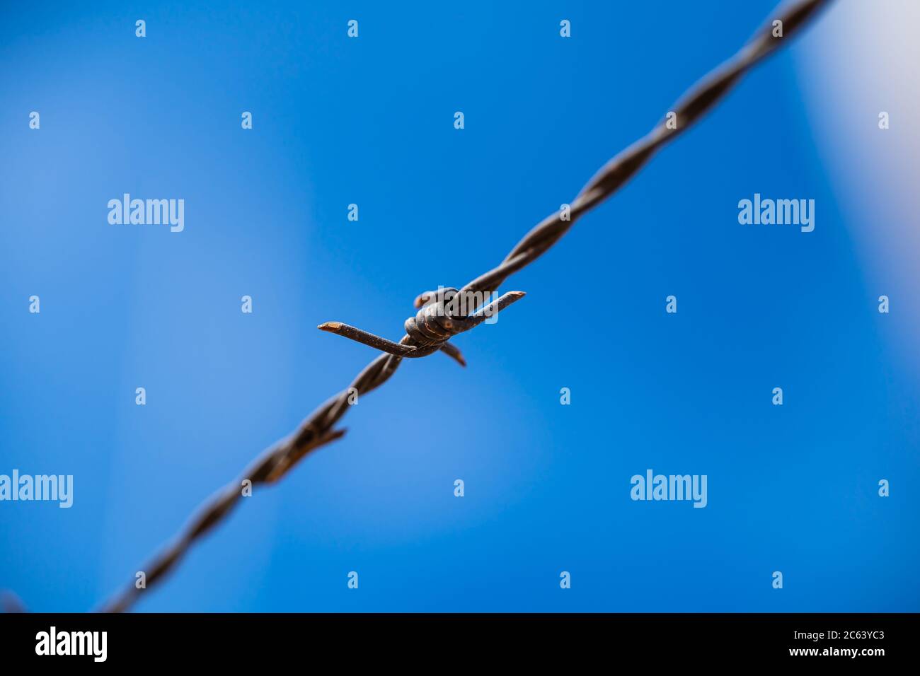Closeup of barbed wire against Stock Photo