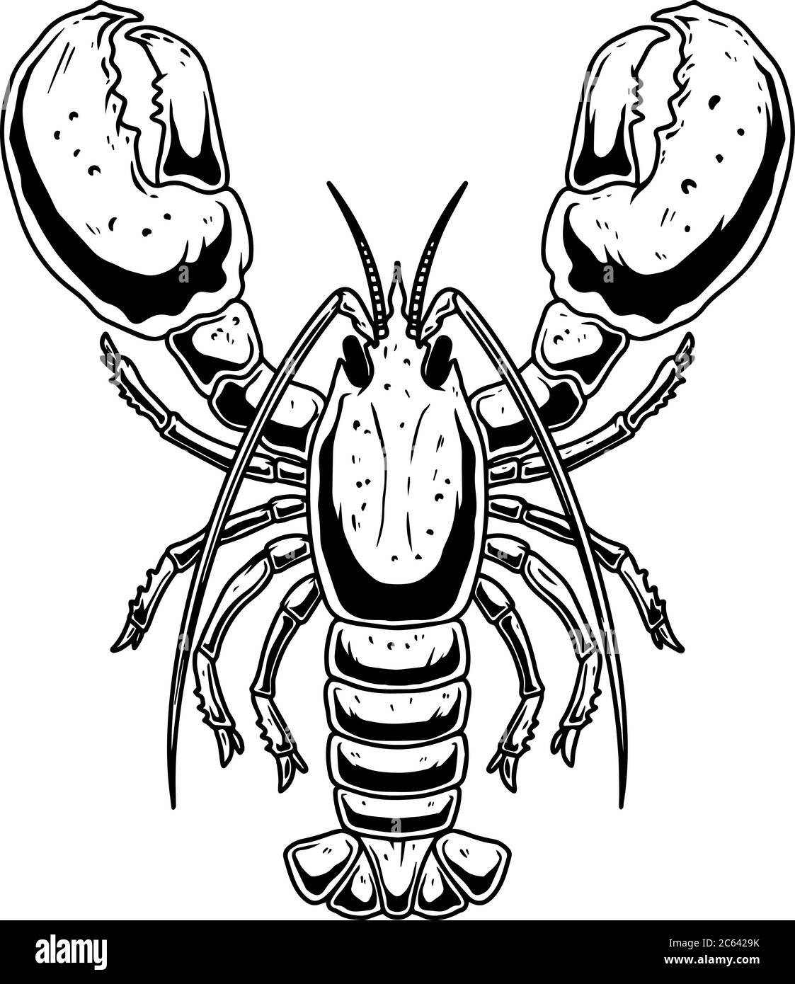 Illustration of lobster in engraving style on white background. Design ...