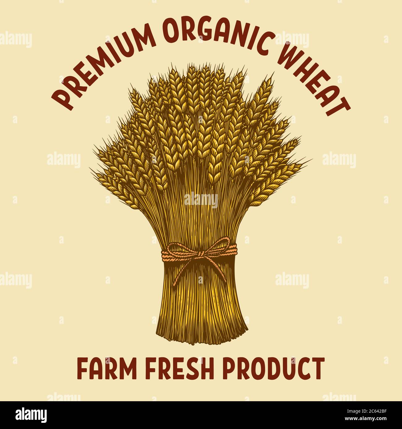 Premium organic wheat. Illustration of sheaf of wheat in engraving