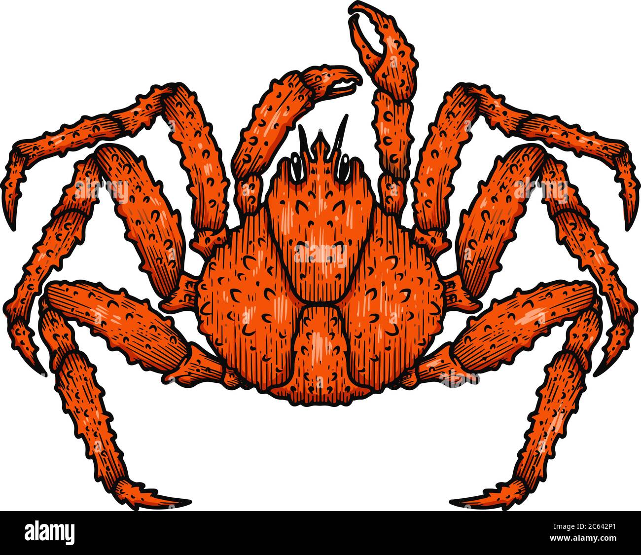 Illustration of japanese spider crab. Design element for logo, label