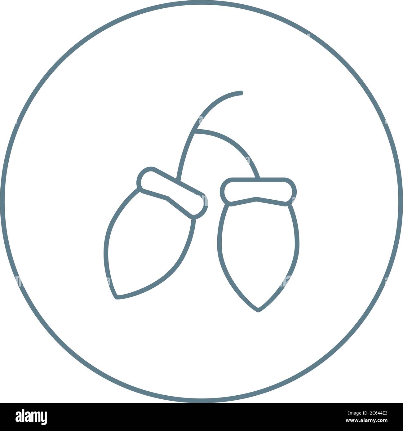 Unique Acorns Vector Line Icon Stock Vector Image & Art - Alamy