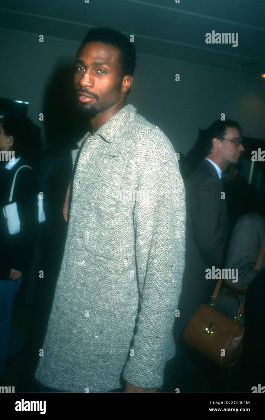 Westwood, California, USA 13th December 1995 Actor Leon Robinson attends Universal Pictures' '12 Monkeys' Premiere on December 13, 1995 at Mann Bruin Theatre in Westwood, California, USA. Photo by Barry King/Alamy Stock Photo Stock Photo