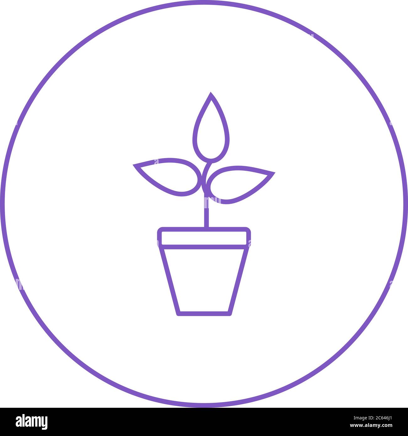 Unique Successful Growth Vector Line Icon Stock Vector Image & Art - Alamy