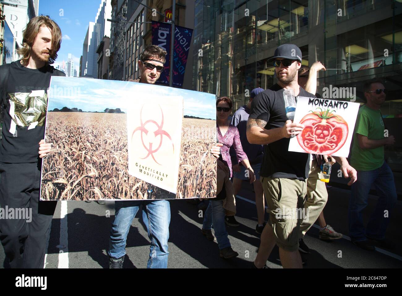 March Against Monsanto protesters carry placards against genetically modified food as they march along George Street in Sydney. Stock Photo