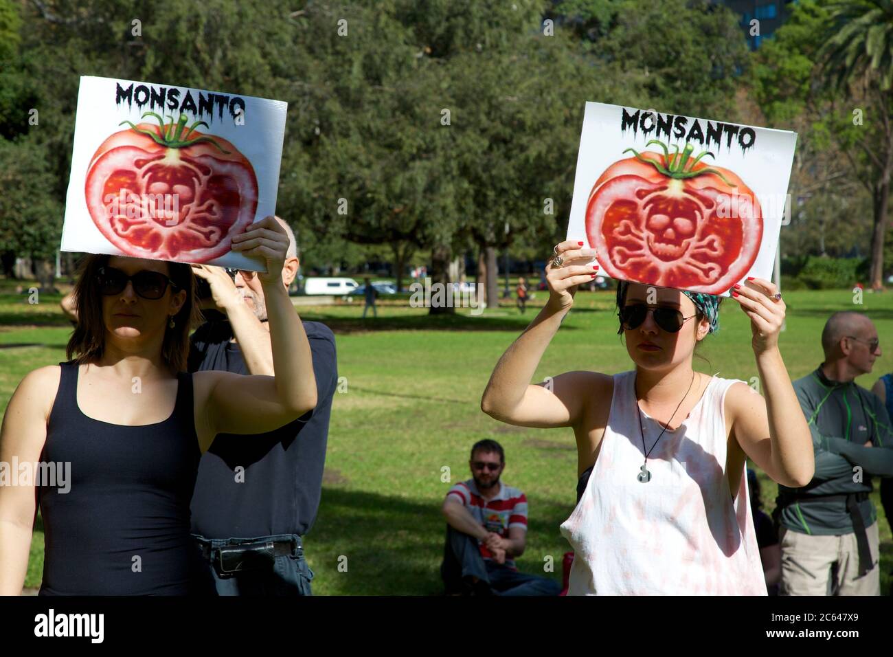 March Against Monsanto protesters hold pictures of a genetically modified tomato in Hyde Park, Sydney. Stock Photo