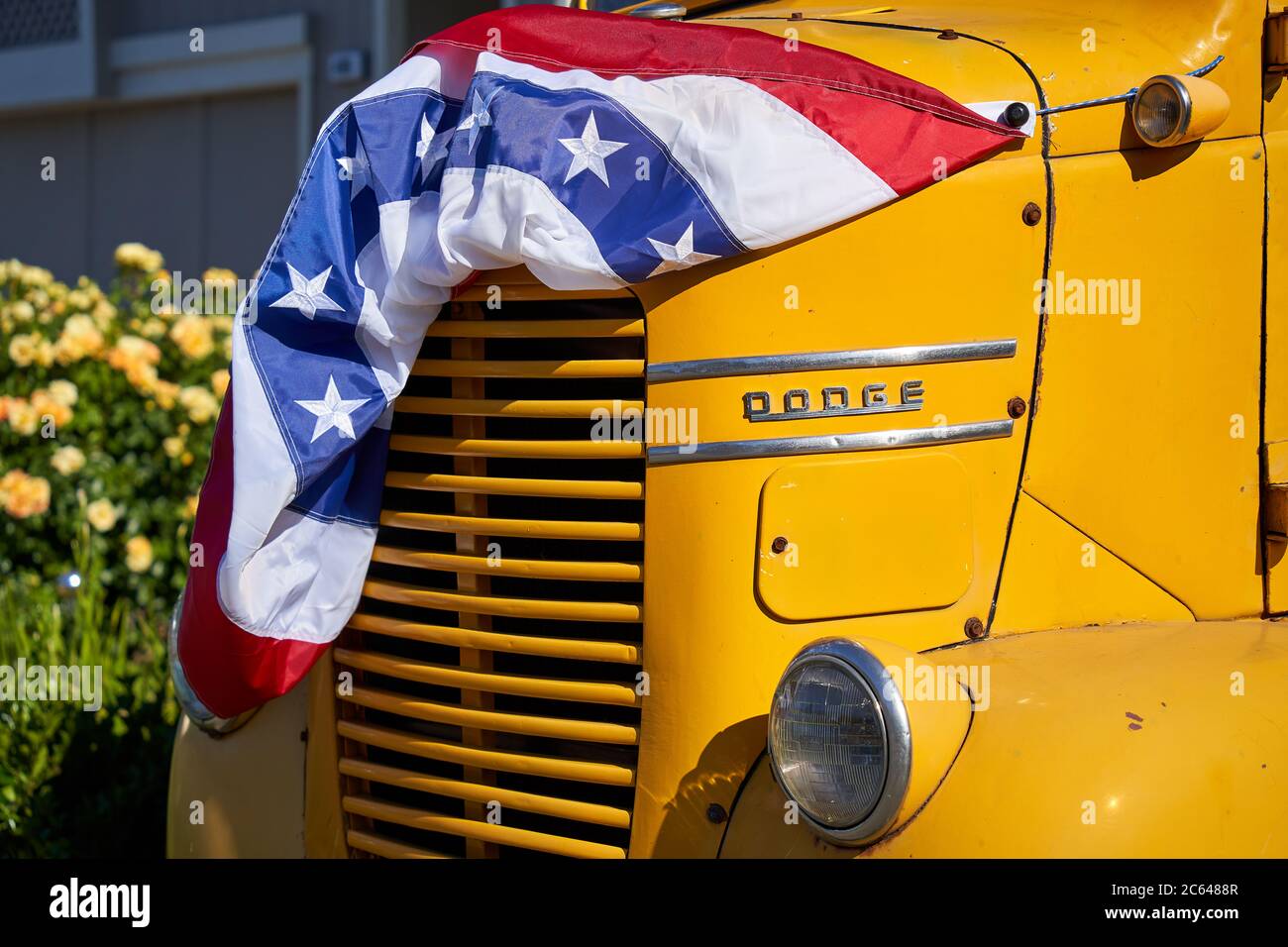 Classic Dodge truck with yellow exterior and American bunting flag on the hood. California Historical Vehicle in Windsor, California. Stock Photo