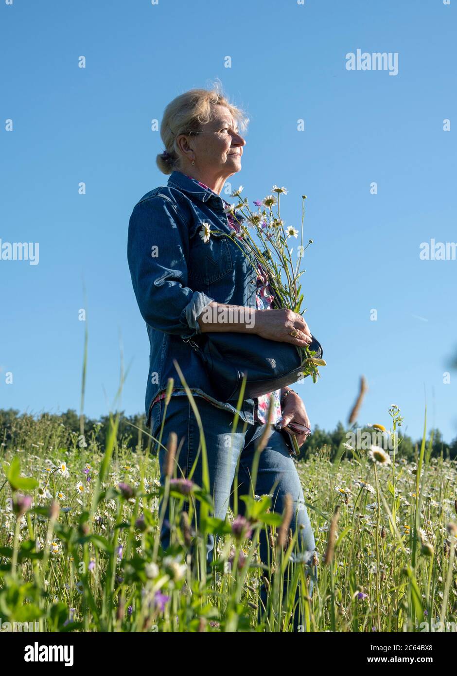 An elderly 65yearold woman in a denim suit stands in a chamomile