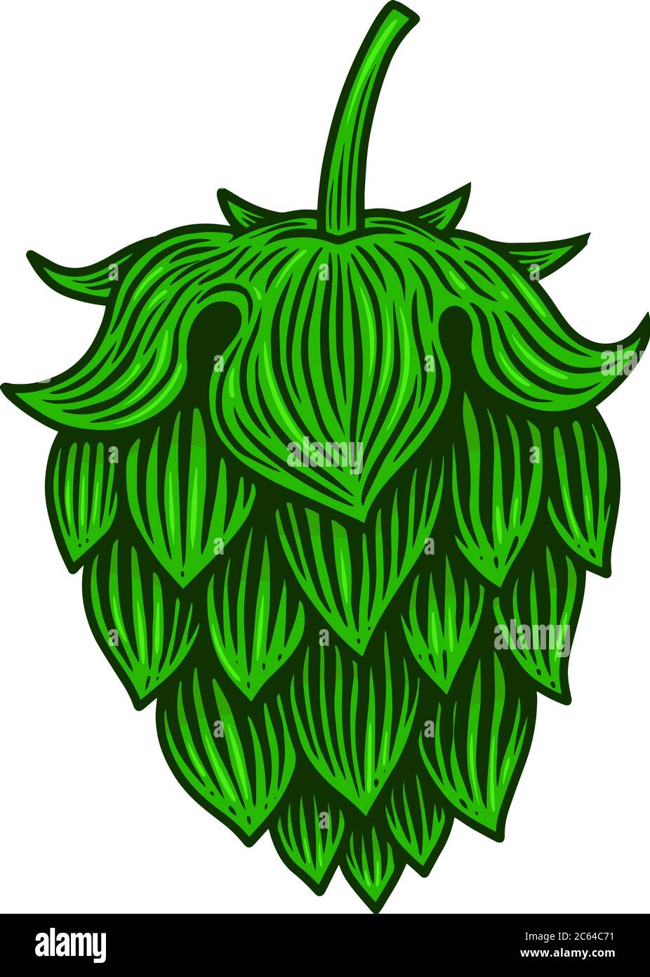 illustration of beer hop in engraving style. Design element for poster