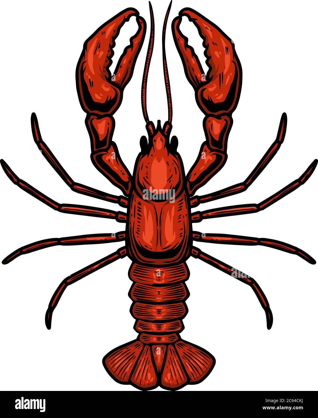 Illustration of lobster in engraving style. Design element for logo