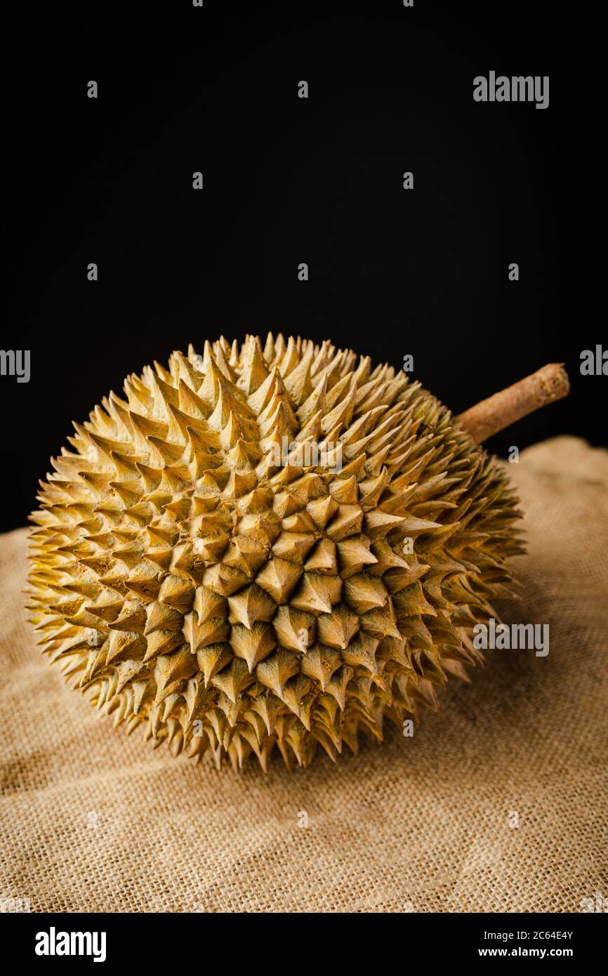 The durian is the fruit of several tree species belonging to the genus Durio. There are 30 recognised Durio species, at least nine of which produce ed Stock Photo