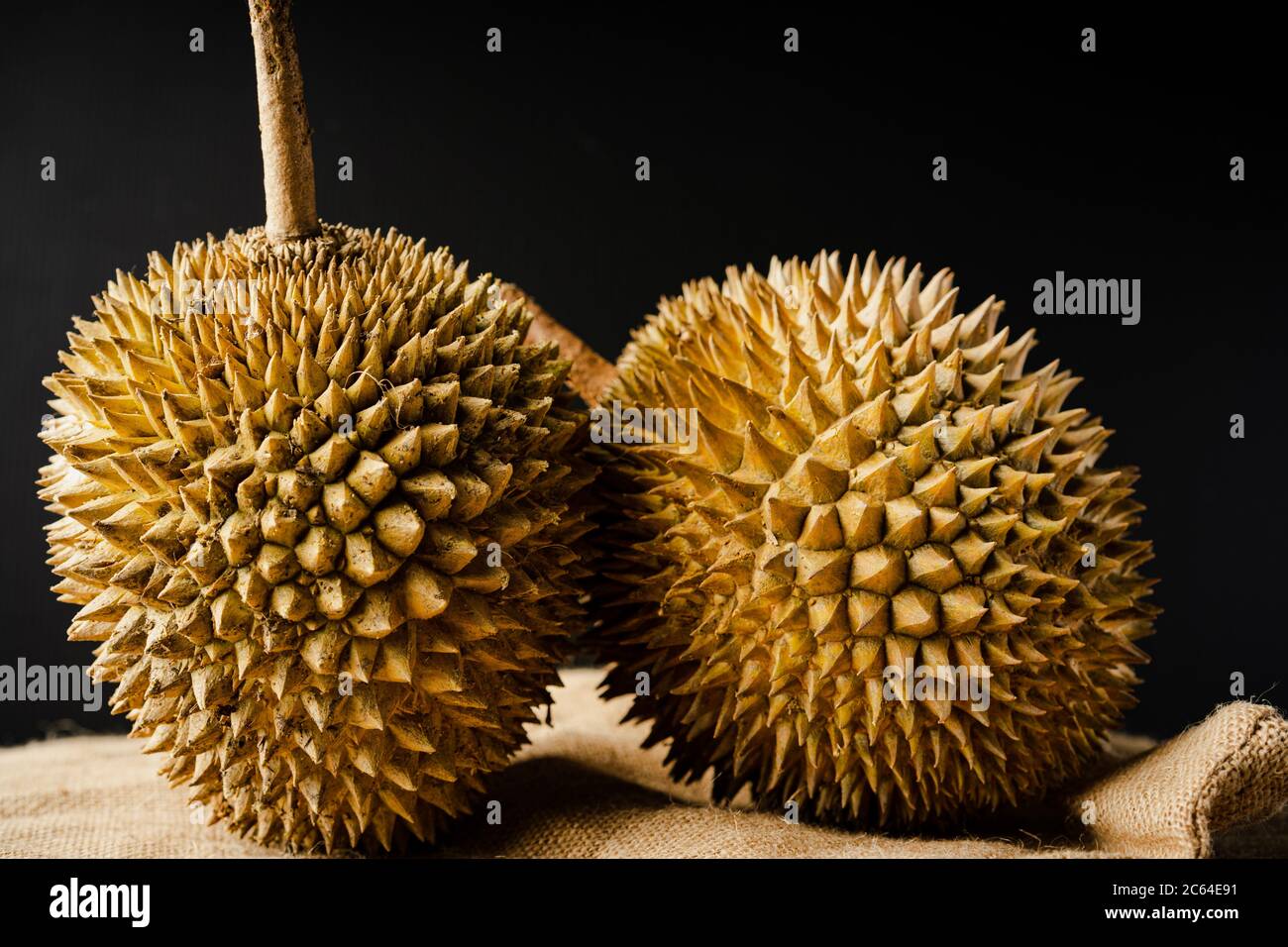 Durian ioi vs udang merah