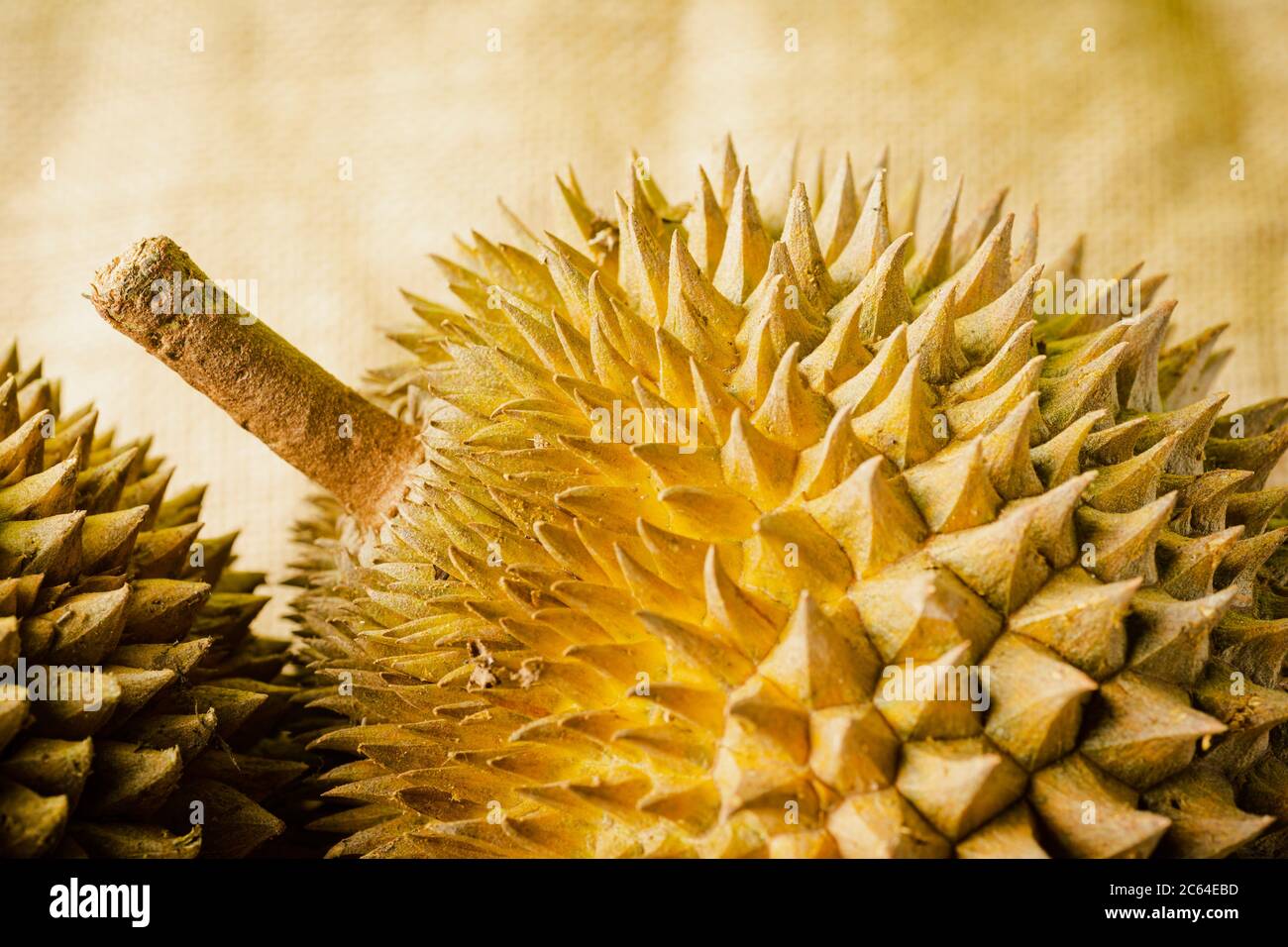 The durian is the fruit of several tree species belonging to the genus Durio. There are 30 recognised Durio species, at least nine of which produce ed Stock Photo