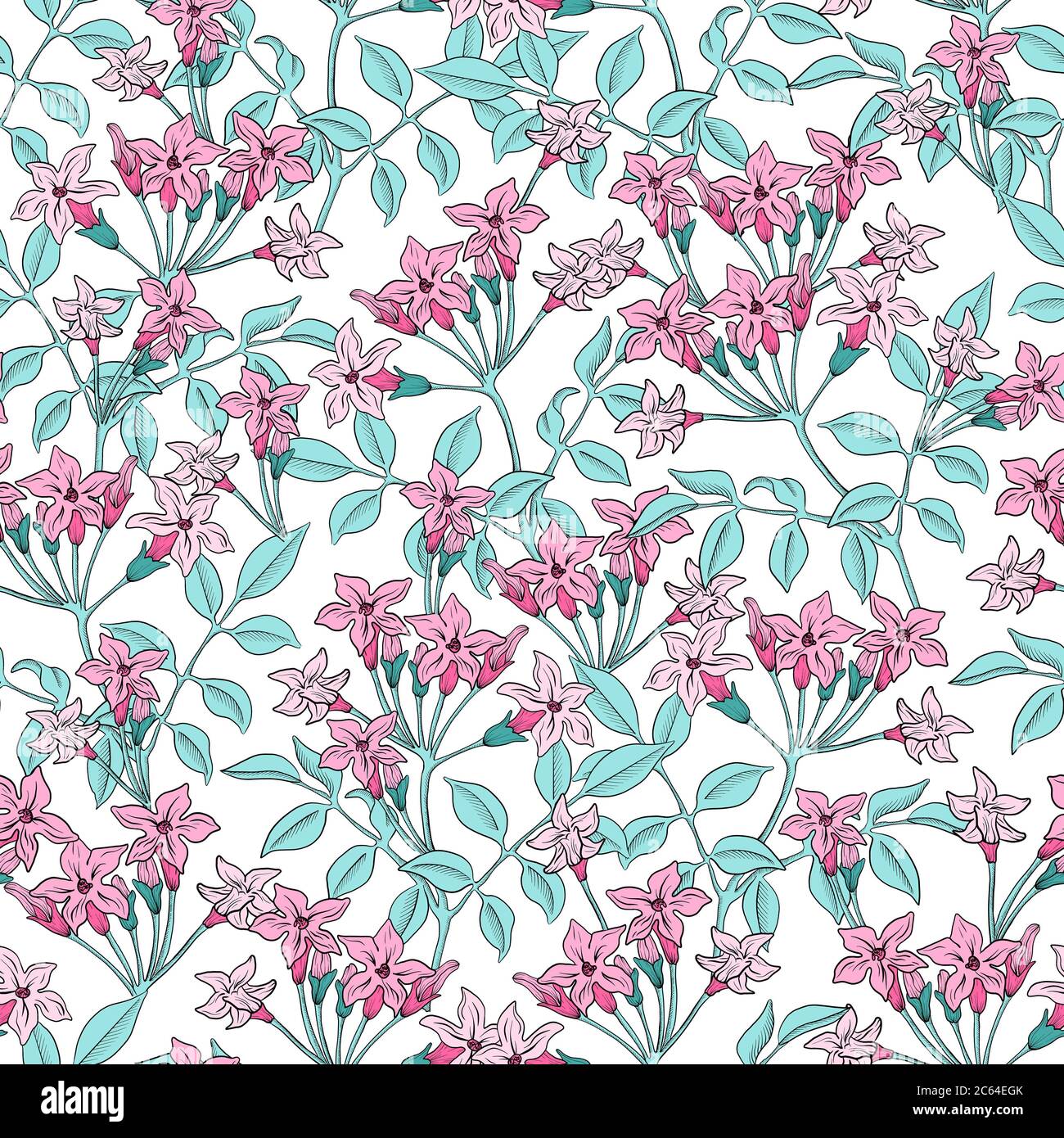 Pink Jasmine flower hand-drawn line art floral seamless pattern Stock Photo  - Alamy