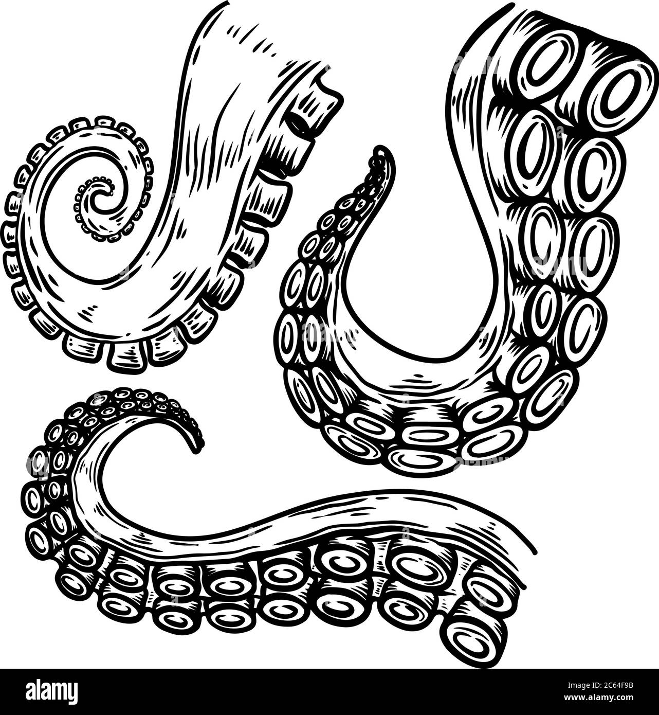 Set of octopus, squid tentacles in engraving style. Design element for  logo, label, emblem, sign, badge. Vector illustration Stock Vector Image &  Art - Alamy