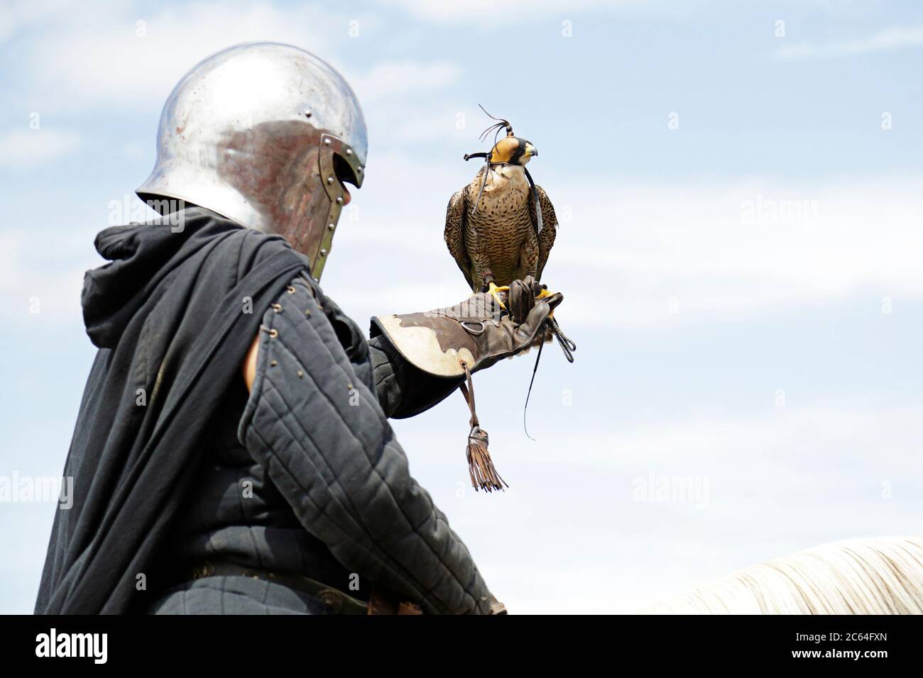 Medieval Falconry High Resolution Stock Photography and Images - Alamy