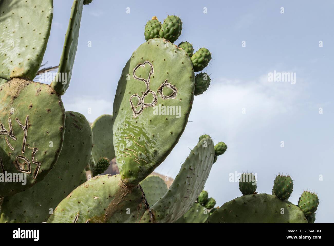 Higo pico hi-res stock photography and images - Alamy