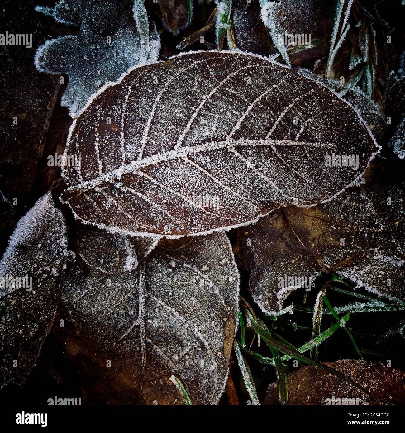 Frozen up view hi-res stock photography and images - Alamy