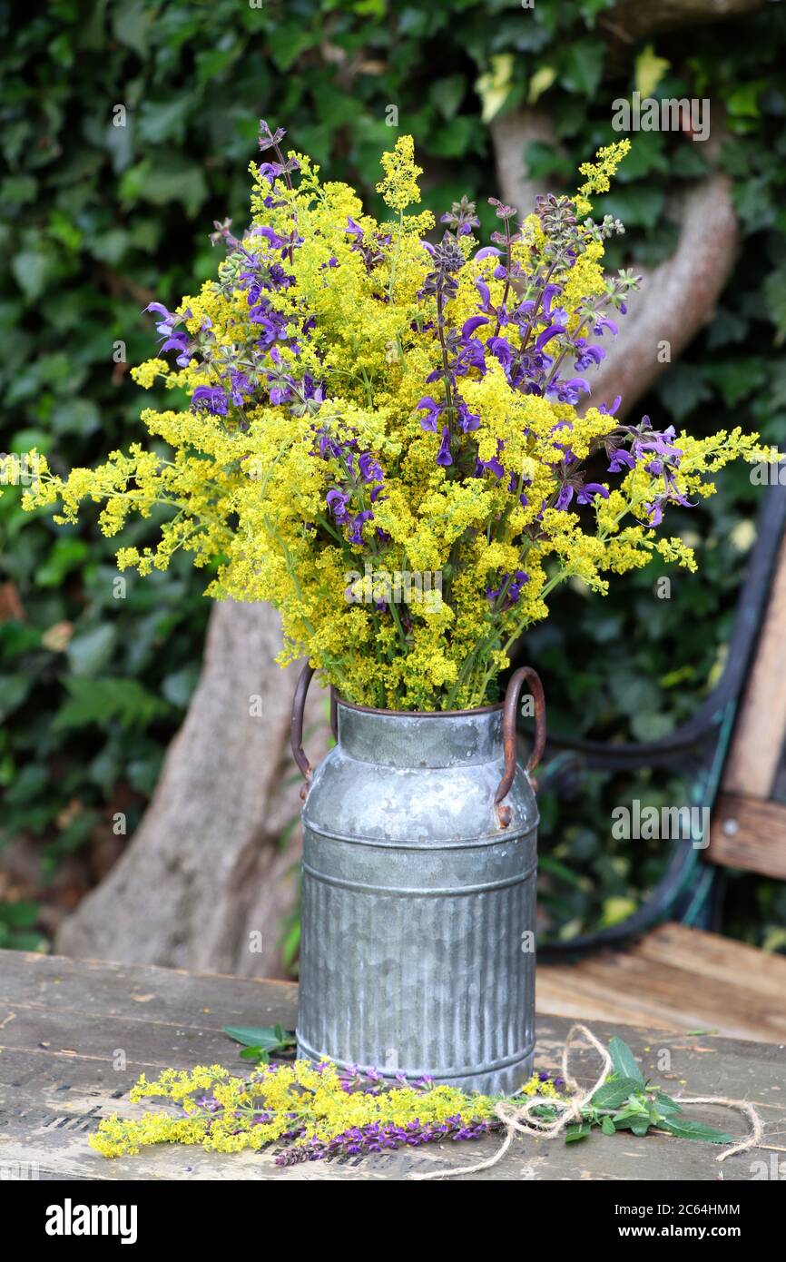 bouquet of galium verum and salvia in vintage vase Stock Photo