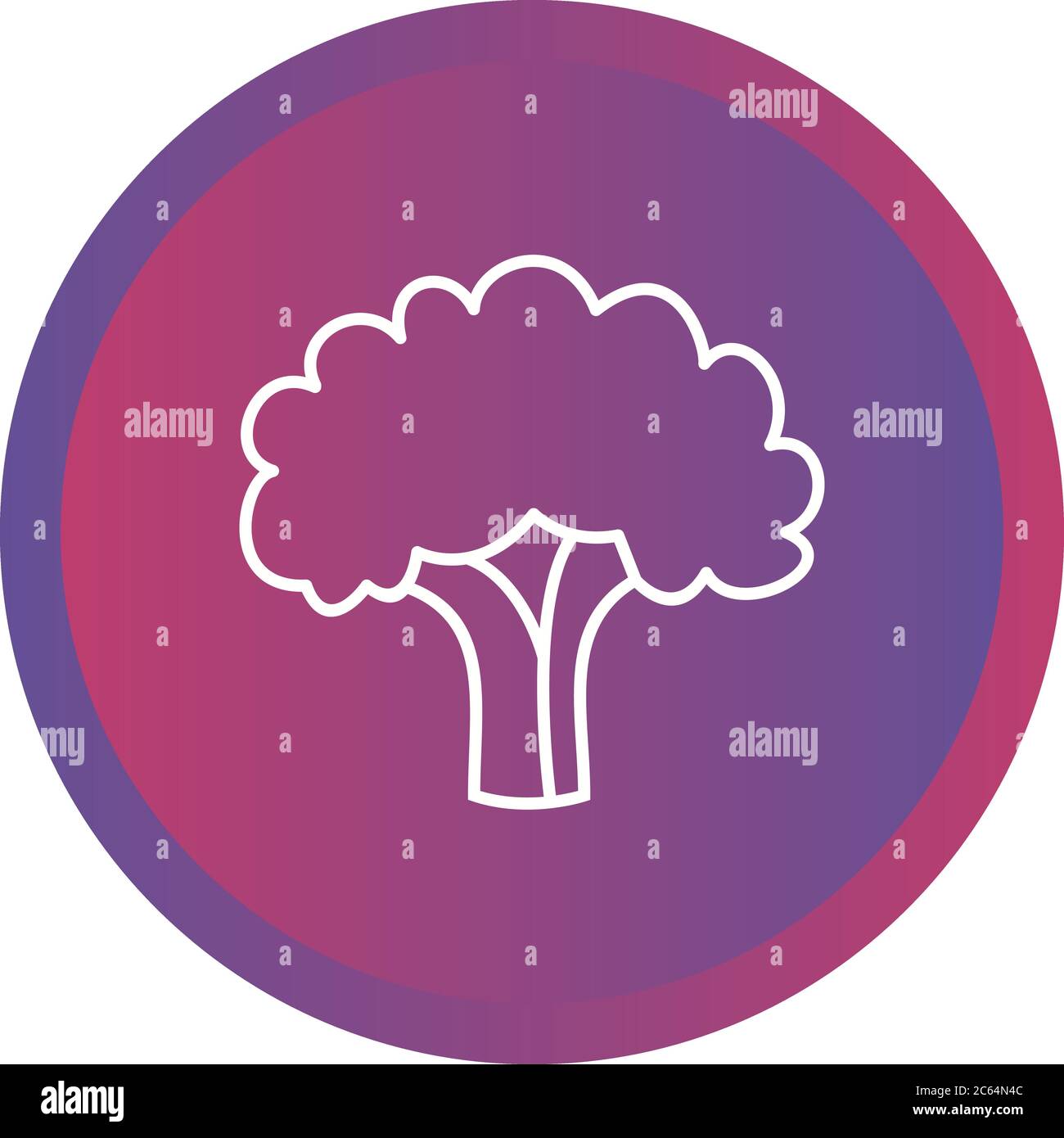 Cabbage graphics Stock Vector Images - Alamy