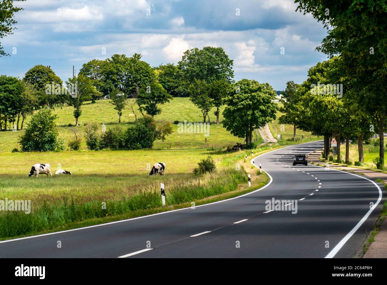 Country road near Kesternich, curves, Eifel, NRW, Germany, Stock Photo