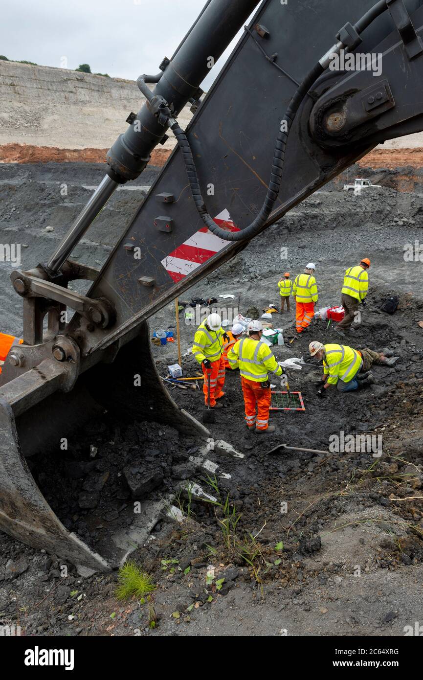 A group of geologists and archeologists dig for remains of a Pliosaur in Middlegate Lane Quarry in South Ferriby North Lincolnshire. Stock Photo