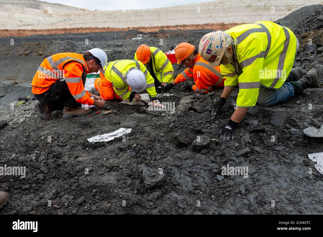 A group of geologists and archeologists dig for remains of a Pliosaur