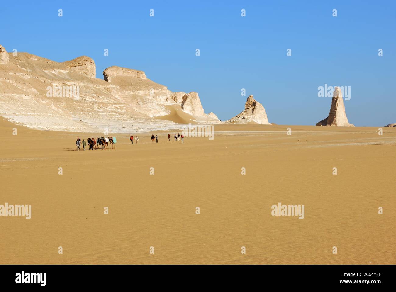 Sahara, Egypt - December 26, 2008: Group of tourists and local guides with camel going through the sand in the Sahara Desert.  Egypt, Africa Stock Photo