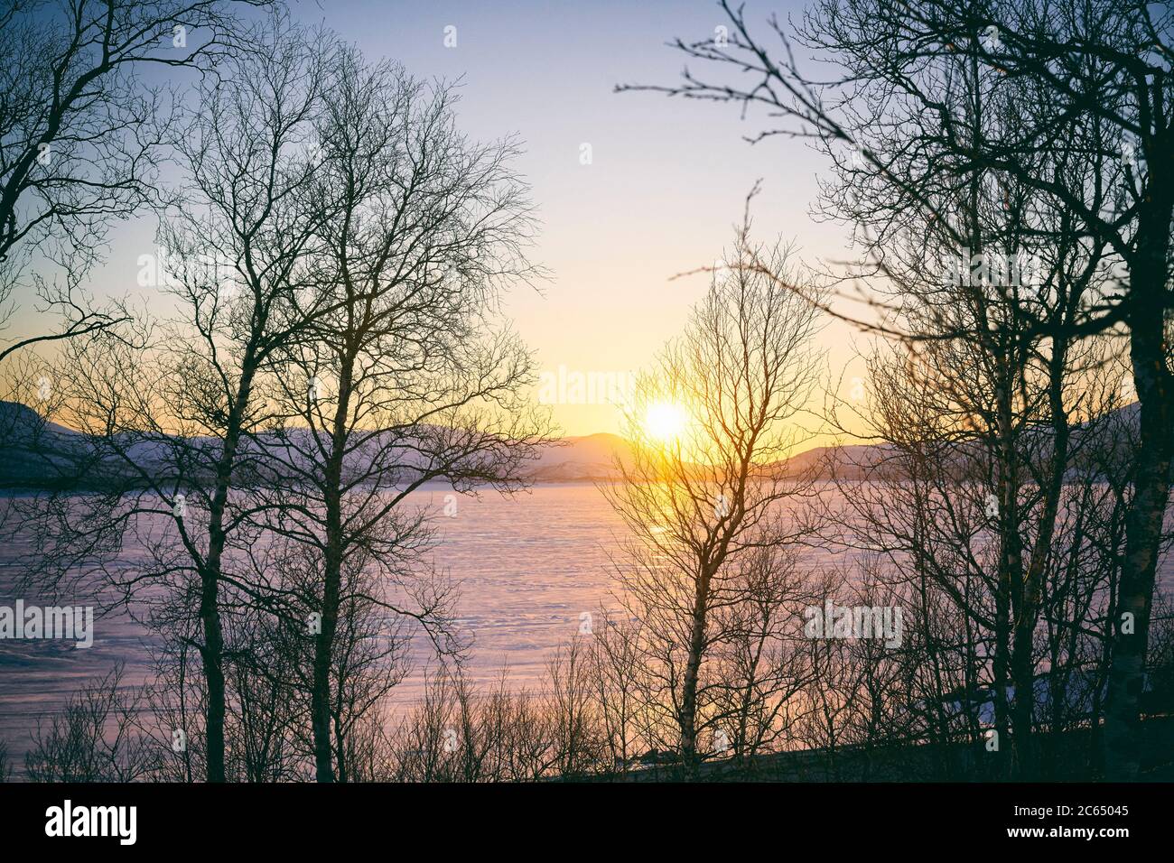 View past trees across frozen lake at sunset, Vasterbottens Lan, Sweden. Stock Photo