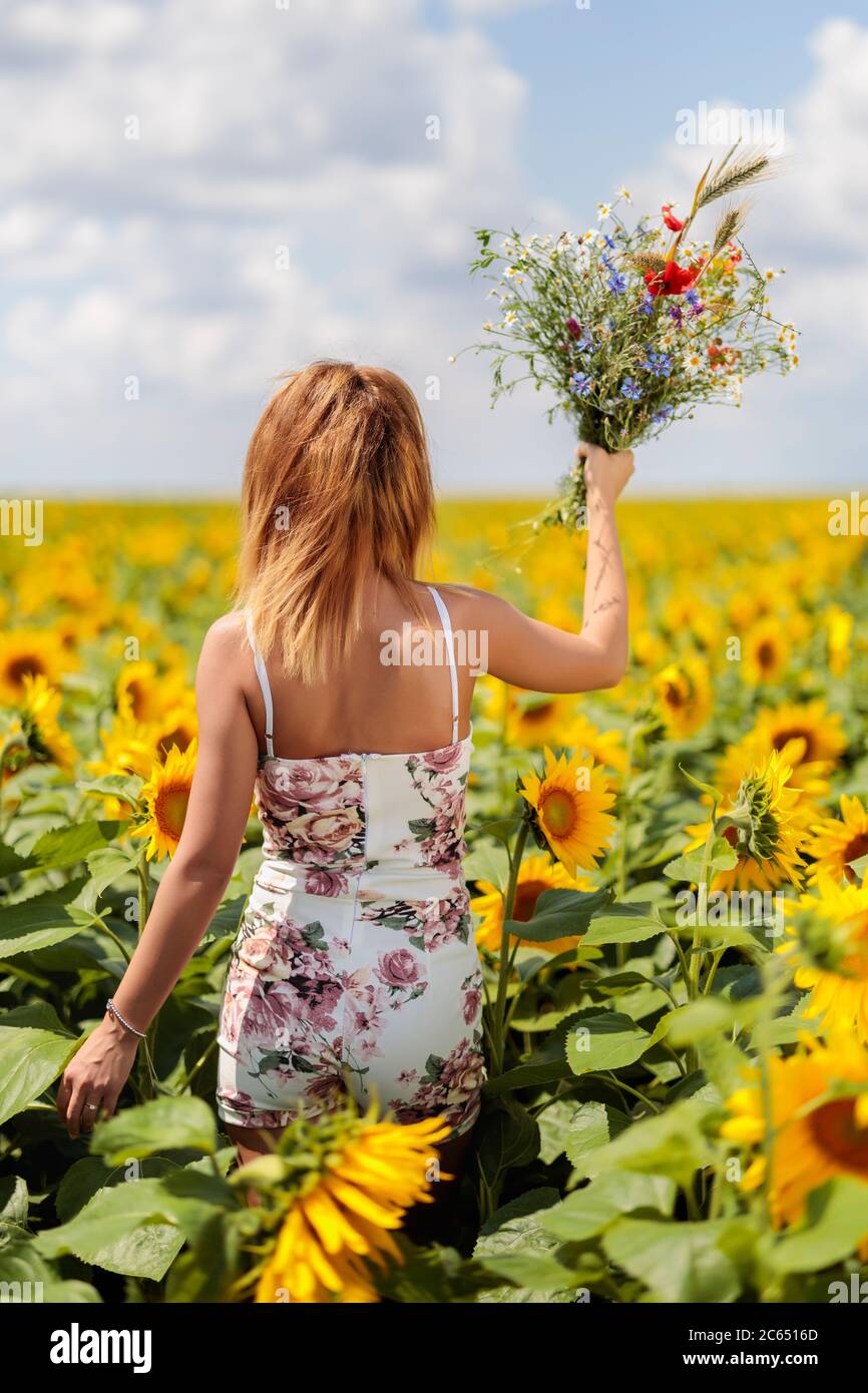 Pretty young woman on a sunflowers field Stock Photo - Alamy