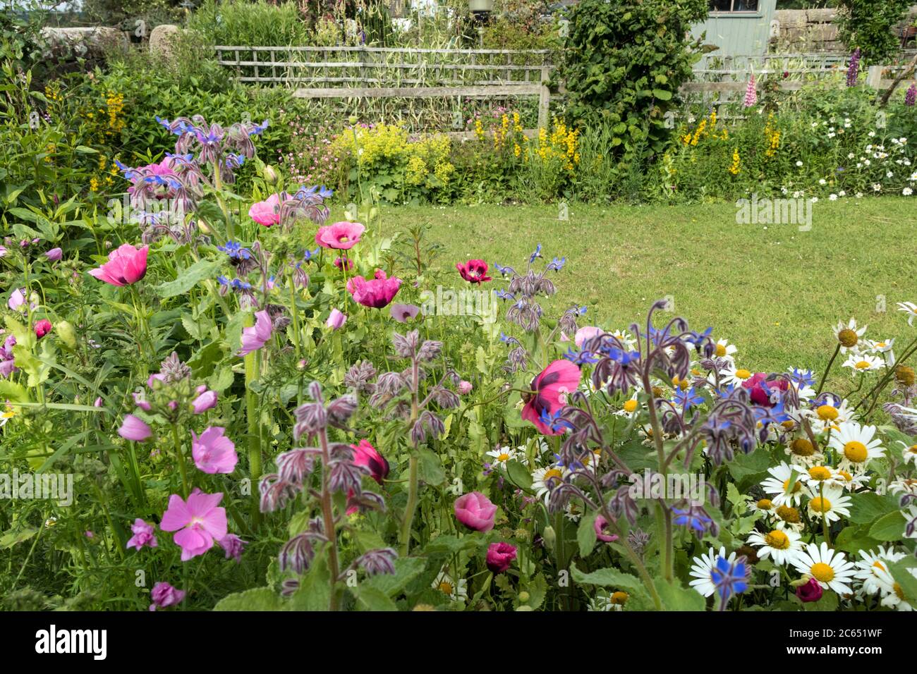 Small wildlife friendly flower garden which had been planted for the benefit of insects, Teesdale, County Durham, UK Stock Photo