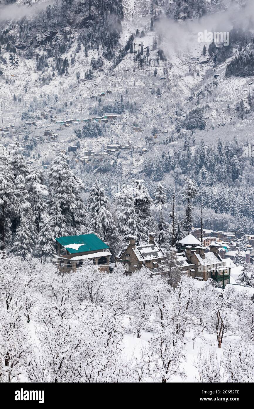 Snowfall in the winters of Manali in Himachal Pradesh, India Stock