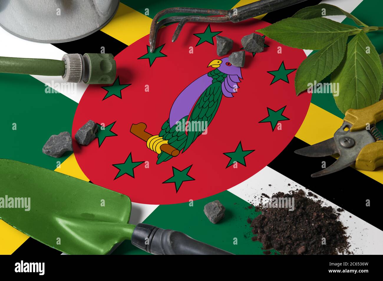 Dominica flag with gardening tools background on table. Spring in the garden concept with free copy space. Stock Photo