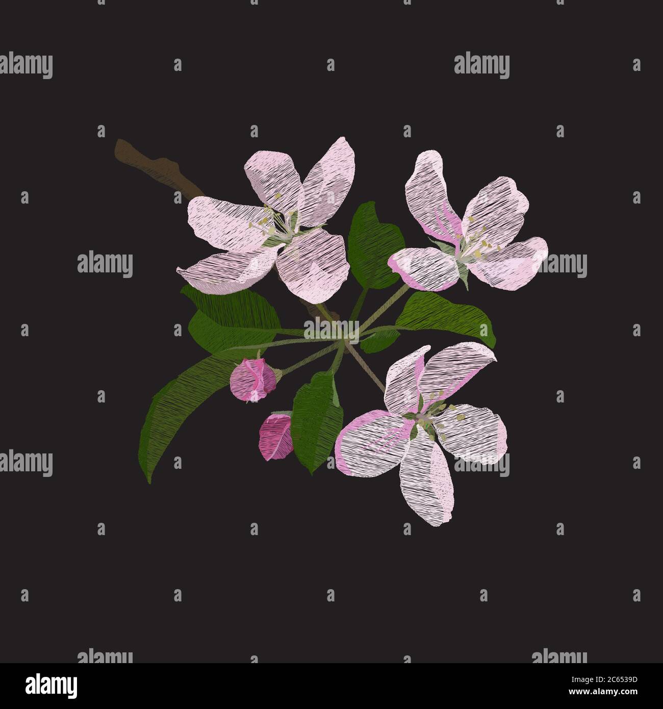 Apple blossom, embroidery, vector illustration on black background Stock  Vector Image & Art - Alamy