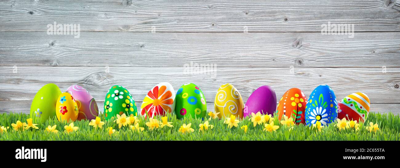 Colorful Easter eggs on green grass with spring flowers in front of ...