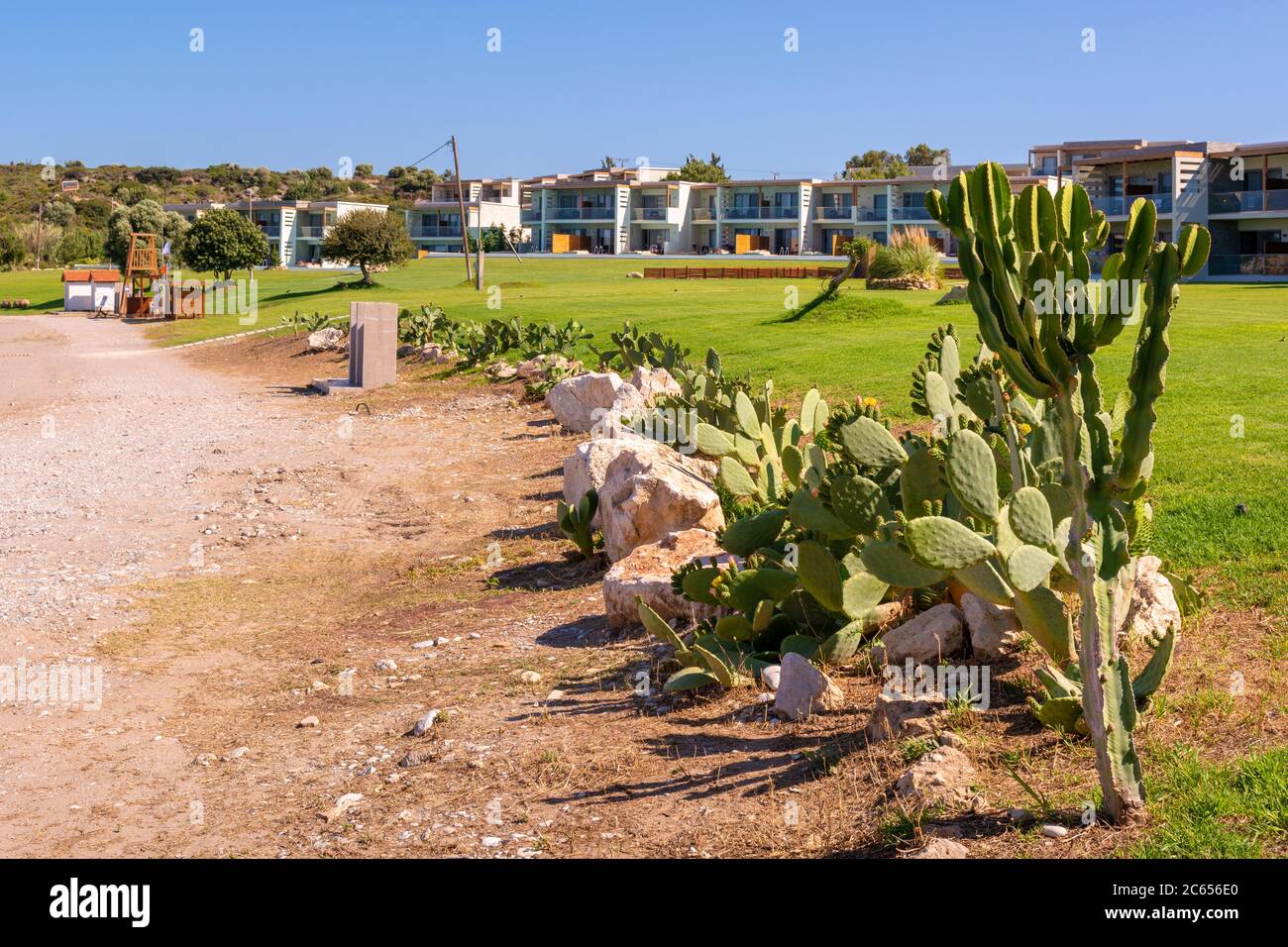 Tropical plants growing along beach in Kolymbia. Rhodes island, Greece Stock Photo