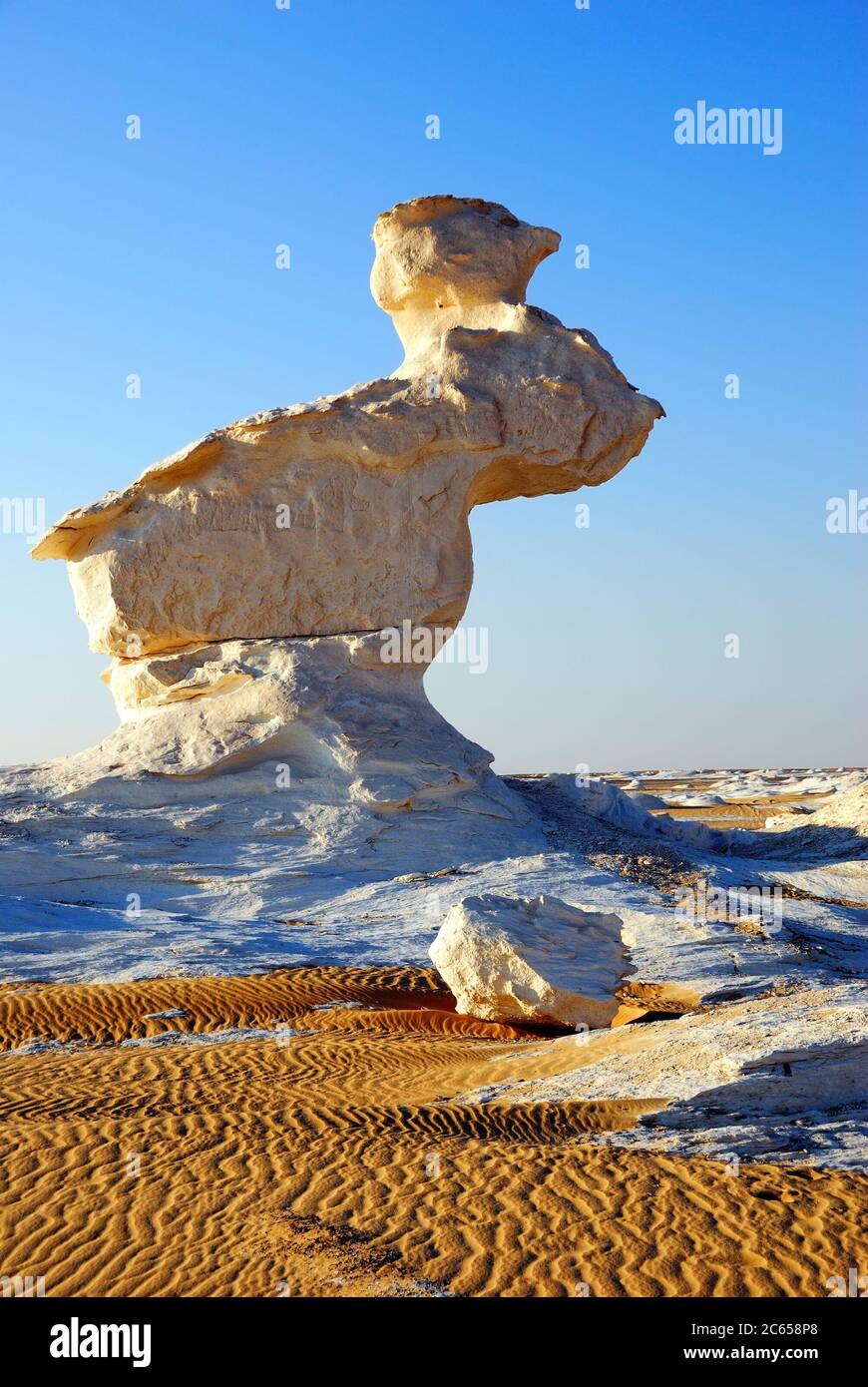 The limestone formation the Rabbit in the White desert at evening light