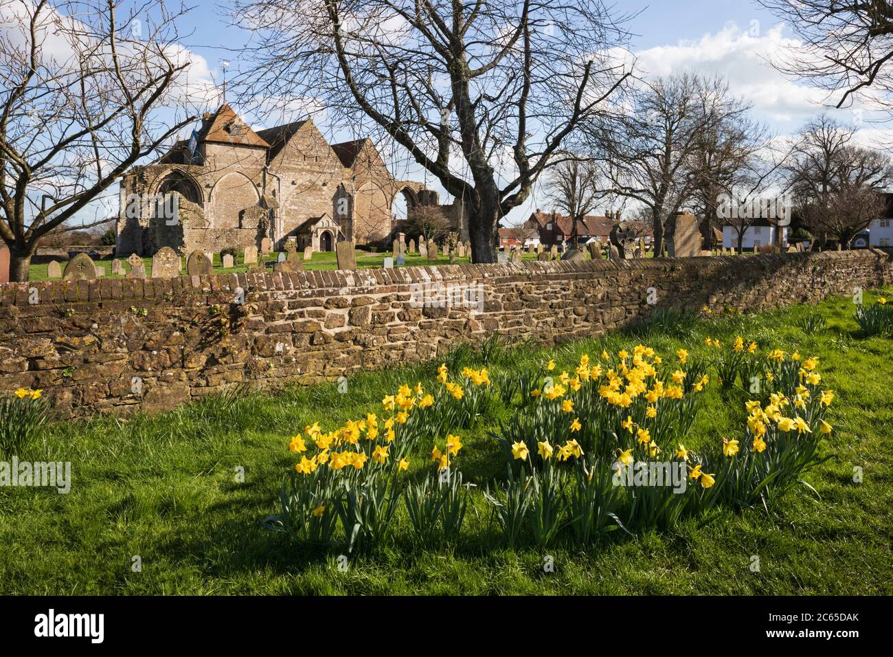 St Thomas the Martyr church with spring Daffodils, Winchelsea, East Sussex, England, United Kingdom, Europe Stock Photo