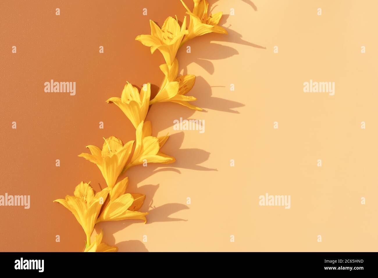 Yellow lily flowers layout on pastel background. Stylish retro design template. Summer concept. Copy space. Yellow background. Stock Photo