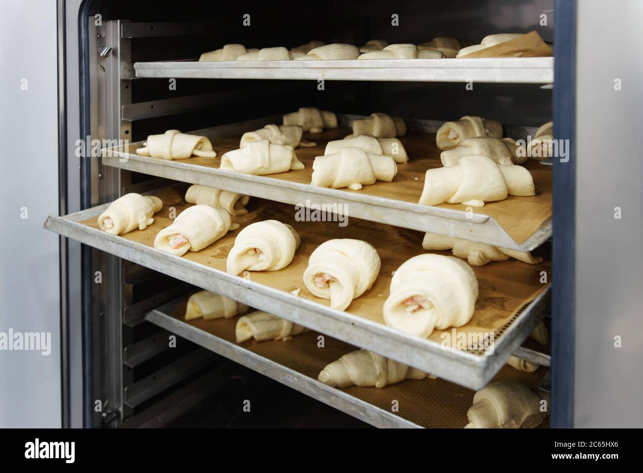 Raw buns in proofing cabinet, professional bakery kitchen, toned