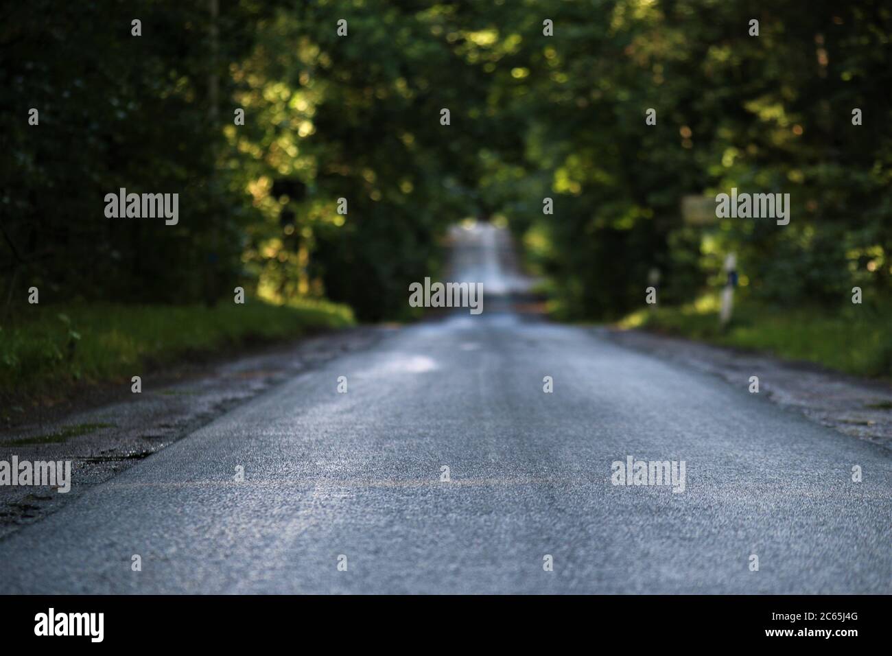 Asphalt road green forest hi-res stock photography and images - Alamy