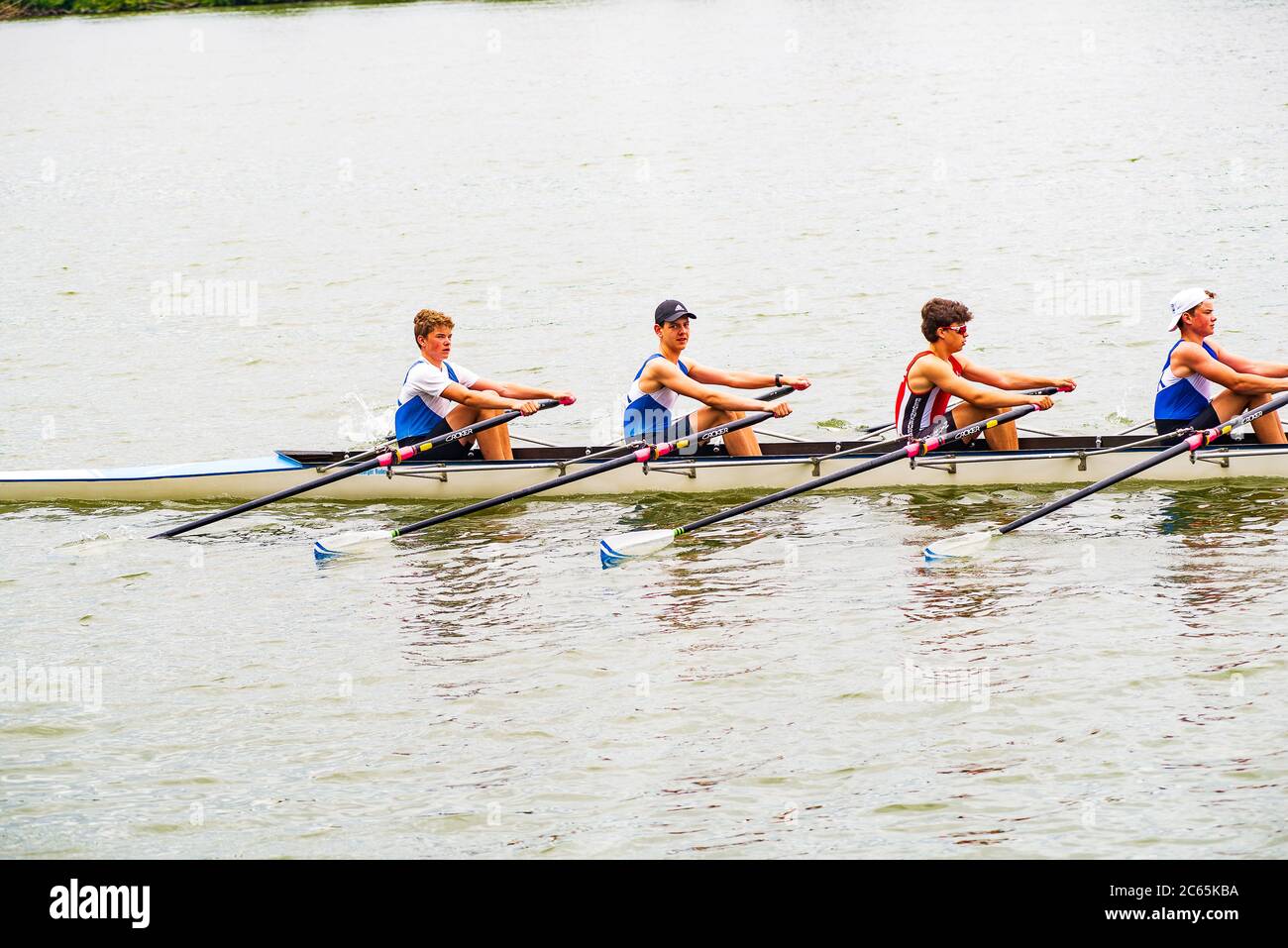 Rowing teams training on the Danube river Stock Photo - Alamy