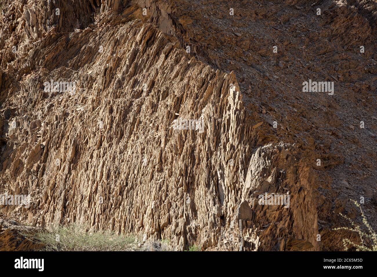 Tectonically stressed, rugged sediments showing as thin rock layers in ...
