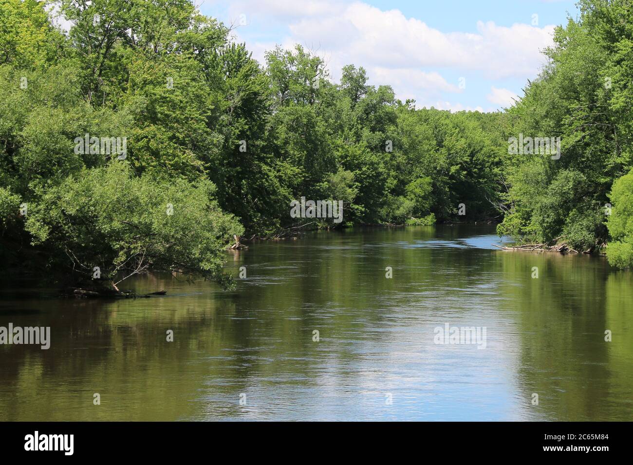 a river forest view with tree lined reflection and blue sky Stock Photo