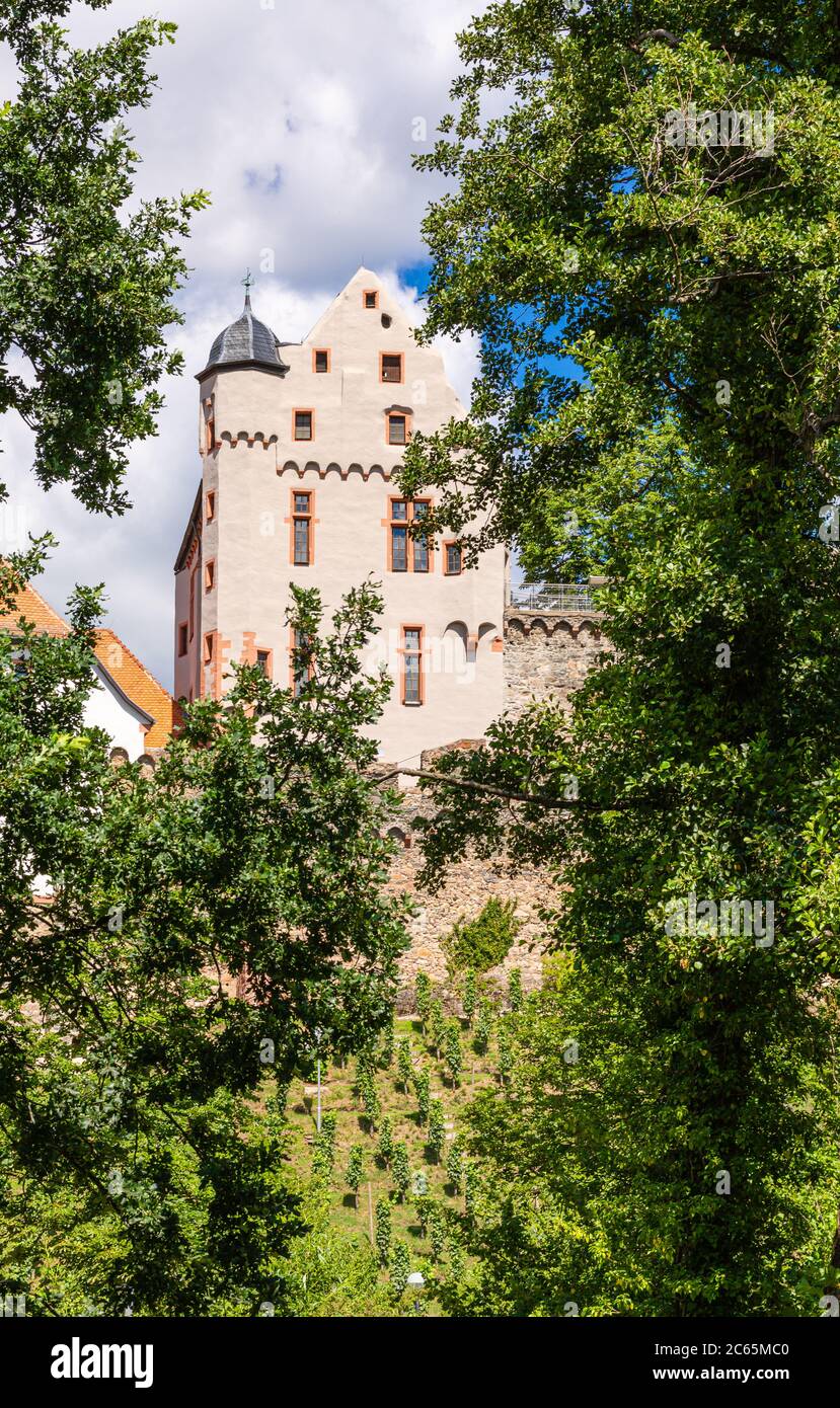 Alzenau Castle in Bavaria. Historic places in Germany. Summer in city. View of the Bavarian castle. Stock Photo